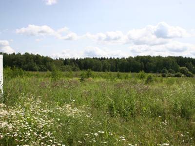 Клоково