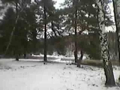 Лазаревка