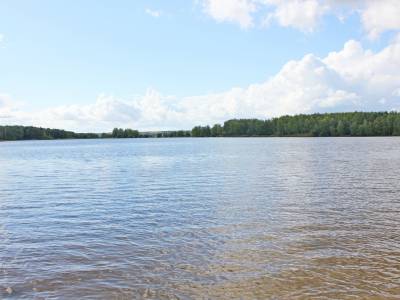 Никульское