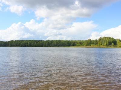 Никульское