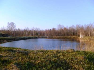 Воргаш