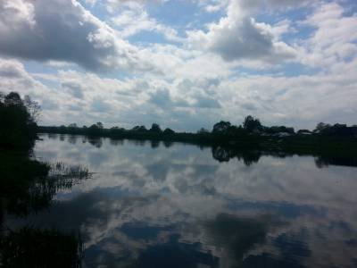 Арефьево
