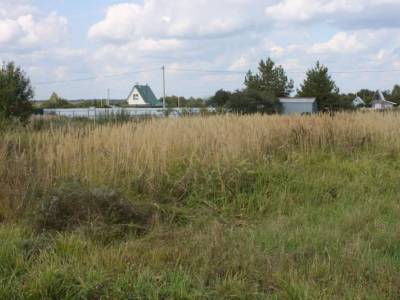 Карачуново