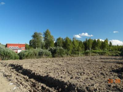 Карасино