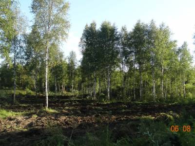 Карасино