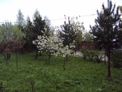 Дорохово (Дороховское с/п)