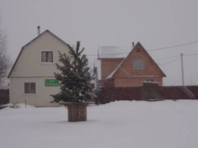 Золотая подкова