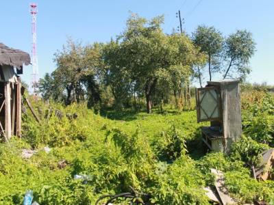 Новоселки