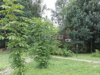Кукшево
