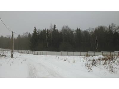 Селевкино