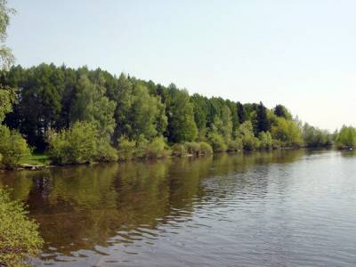 Селевкино