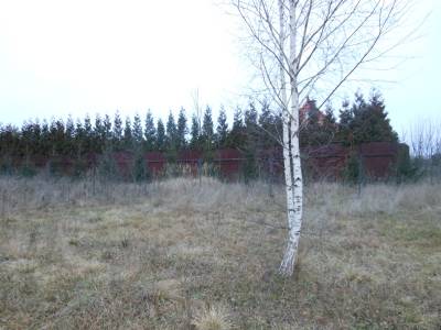 Лупаново