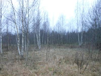 Лупаново