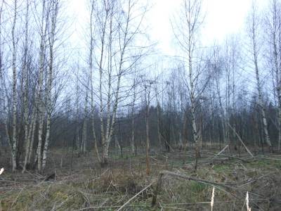 Лупаново