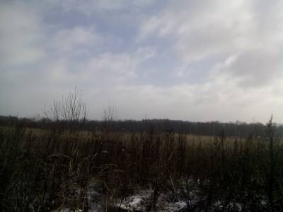 Деденево