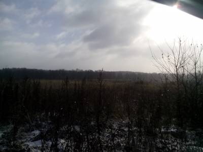 Деденево