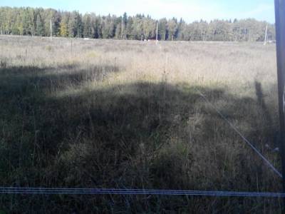 Никулино