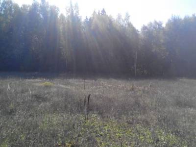 Никулино