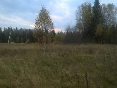 Ассаурово