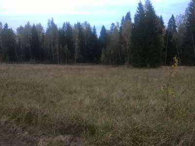 Ассаурово