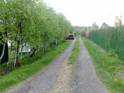 Березки