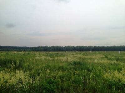Яковлевское