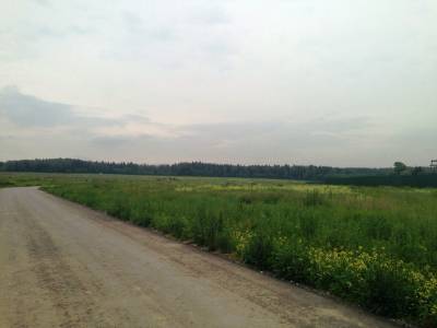 Яковлевское