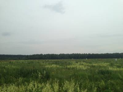 Яковлевское