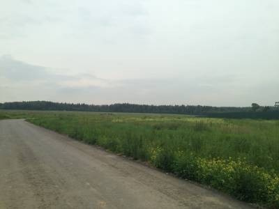 Яковлевское