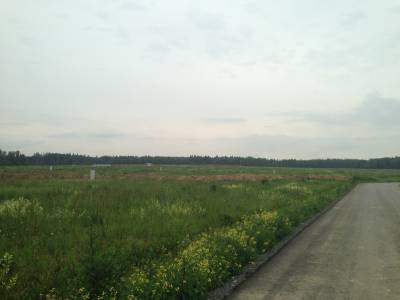 Кузнецово