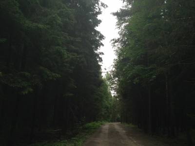 Кузнецово