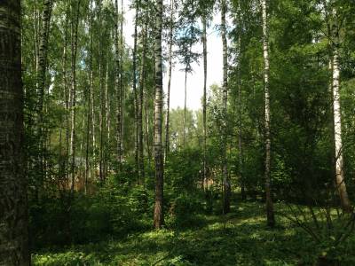 Кузнецово