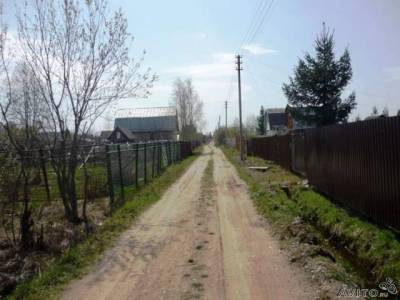 Нарцисс