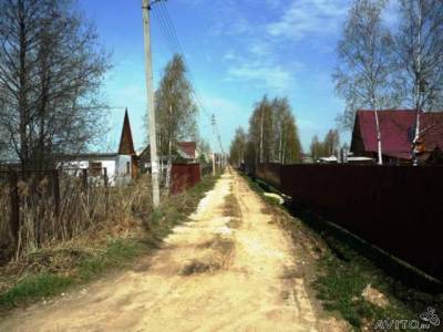 Нарцисс