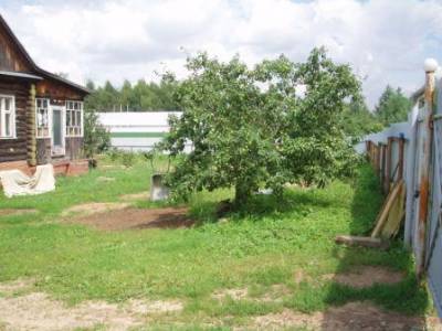 Раздоры